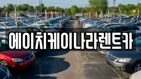 대전광역시 유성구 원내동 렌트카 전문 에이치케이나라렌트카