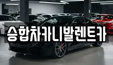 대전광역시 중구 무수동 렌트카 전문 승합차카니발렌트카