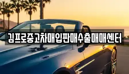 대전광역시 중구 무수동 중고차 전문 김프로중고차매입판매수출매매센터