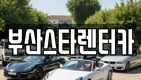 부산 금정구 남산동 렌트카,단기렌트카,장기렌트카,중고차,중고차매매,중고차매입