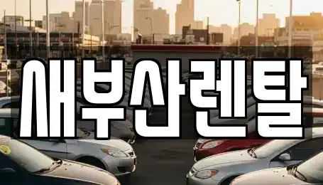부산 금정구 남산동 렌트카 전문 새부산렌탈