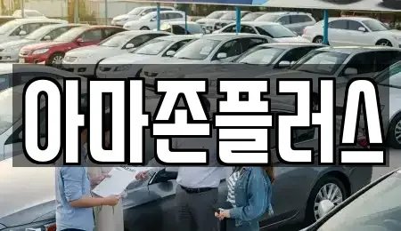 부산 동구 초량동 장기렌트카 전문 아마존플러스