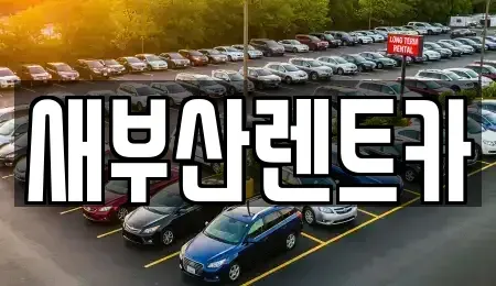 부산 동래구 사직동 단기렌트카 전문 새부산렌트카