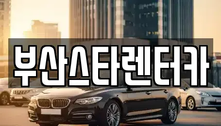 부산 동래구 사직동 렌트카 전문 부산스타렌터카