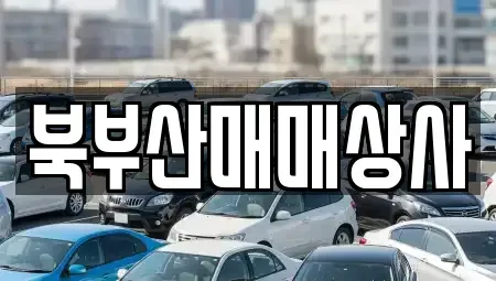 부산 동래구 사직동 중고차매매,단기렌트카,중고차매입,장기렌트카,중고차,렌트카
