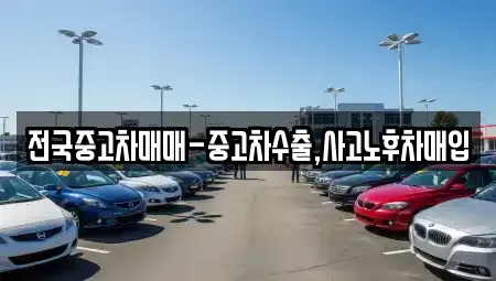 부산 동래구 사직동 중고차매입 전문 전국중고차매매-중고차수출,사고노후차매입