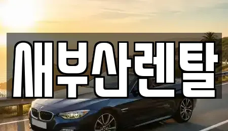 부산 부산진구 연지동 렌트카 전문 새부산렌탈