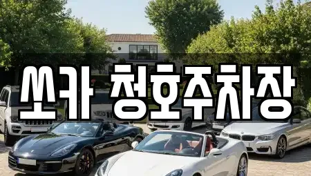 부산 사하구 하단동 렌트카 전문 쏘카 청호주차장