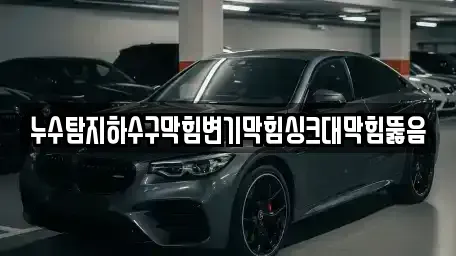 부산 사하구 하단동 중고차매입 전문 누수탐지하수구막힘변기막힘싱크대막힘뚫음