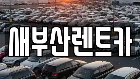 부산 서구 부민동2가 렌트카 전문 새부산렌트카