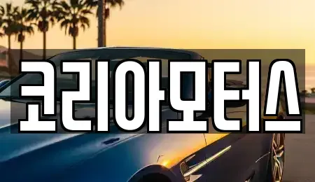 부산 서구 부민동2가 중고차 전문 코리아모터스