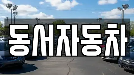 부산 영도구 봉래동5가 중고차 전문 동서자동차