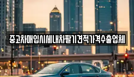 부산 영도구 봉래동5가 중고차매입 전문 중고차매입시세내차팔기견적가격수출업체