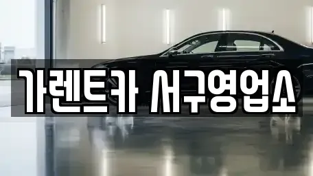 부산 중구 부평동4가 렌트카 전문 가렌트카 서구영업소