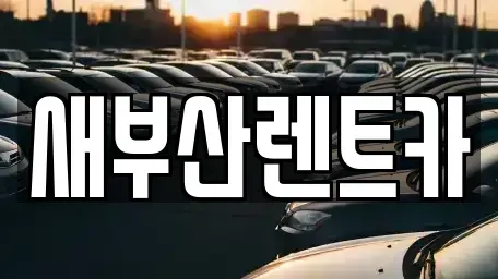 부산 중구 부평동4가 렌트카 전문 새부산렌트카