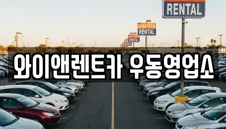 부산 해운대구 우동 렌트카 전문 와이앤렌트카 우동영업소