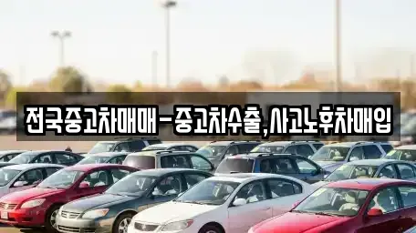 부산 해운대구 우동 중고차 전문 전국중고차매매-중고차수출,사고노후차매입