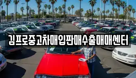 부산 해운대구 우동 중고차매입 전문 김프로중고차매입판매수출매매센터