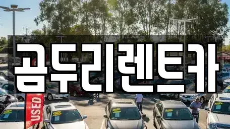 부산광역시 금정구 두구동 렌트카 전문 곰두리렌트카