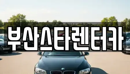 부산광역시 금정구 두구동 렌트카 전문 부산스타렌터카