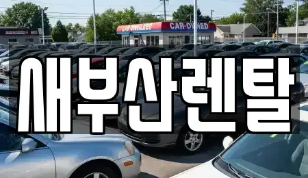 부산광역시 금정구 두구동 렌트카 전문 새부산렌탈