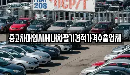부산광역시 금정구 두구동 중고차매입 전문 중고차매입시세내차팔기견적가격수출업체