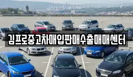 부산광역시 기장군 일광읍 중고차매입 전문 김프로중고차매입판매수출매매센터