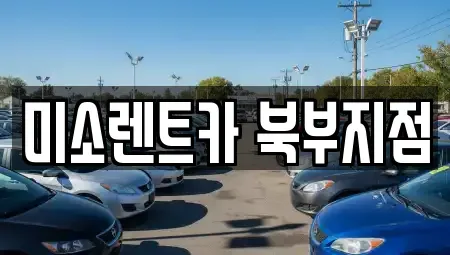 부산광역시 북구 덕천동 렌트카 전문 미소렌트카 북부지점