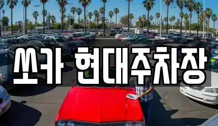 부산광역시 북구 덕천동 렌트카 전문 쏘카 현대주차장