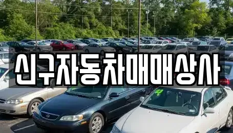 부산광역시 북구 덕천동 중고차매매,단기렌트카,중고차매입,장기렌트카,중고차,렌트카