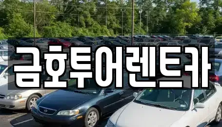 부산광역시 사하구 다대동 장기렌트카,중고차,렌트카,단기렌트카,중고차매입,중고차매매