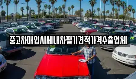 부산광역시 사하구 다대동 중고차매입 전문 중고차매입시세내차팔기견적가격수출업체