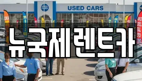 부산광역시 연제구 단기렌트카 전문 뉴국제렌트카