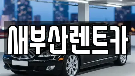 부산광역시 연제구 단기렌트카 전문 새부산렌트카
