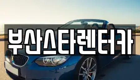 부산광역시 연제구 렌트카 전문 부산스타렌터카