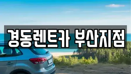 부산광역시 연제구 장기렌트카 전문 경동렌트카 부산지점