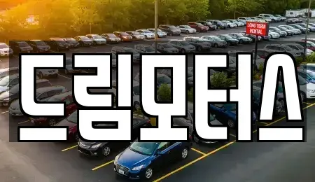 부산광역시 연제구 중고차 전문 드림모터스