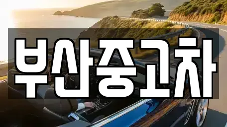 부산광역시 연제구 중고차 전문 부산중고차