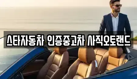 부산광역시 연제구 중고차 전문 스타자동차 인증중고차 사직오토랜드