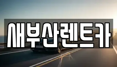부산광역시 영도구 남항동3가 렌트카 전문 새부산렌트카
