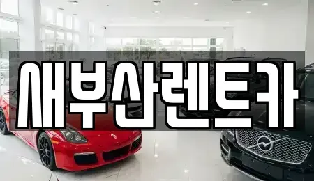 부산광역시 영도구 영선동2가 렌트카 전문 새부산렌트카