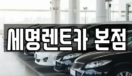부산광역시 영도구 영선동2가 렌트카 전문 세명렌트카 본점