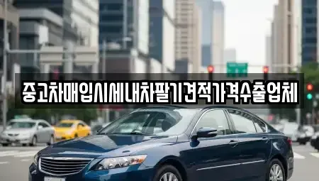 부산광역시 영도구 영선동2가 중고차 전문 중고차매입시세내차팔기견적가격수출업체