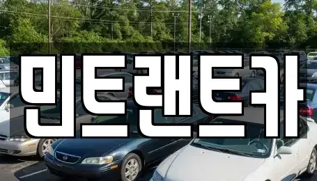 서울 강남구 수서동 단기렌트카 전문 민트랜트카