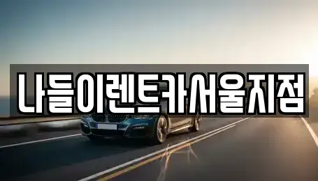 서울 강남구 수서동 렌트카 전문 나들이렌트카서울지점