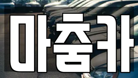 서울 강남구 수서동 렌트카 전문 마춤카