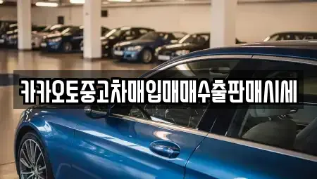 서울 강남구 수서동 중고차매입 전문 카카오토중고차매입매매수출판매시세