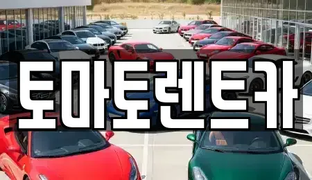 서울 강동구 명일동 렌트카 전문 토마토렌트카