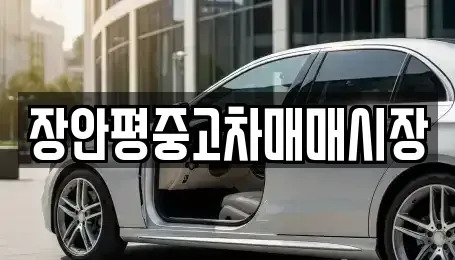 서울 강동구 명일동 중고차 전문 장안평중고차매매시장