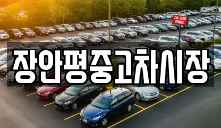 서울 강동구 명일동 중고차매매 전문 장안평중고차시장